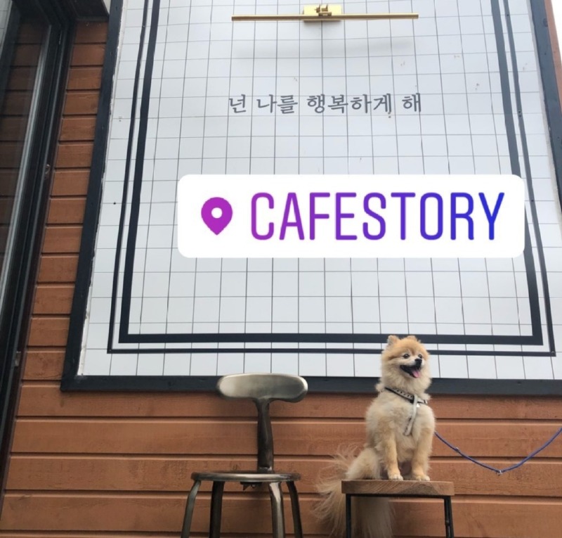 북한강 카페스토리 애견동반카페 