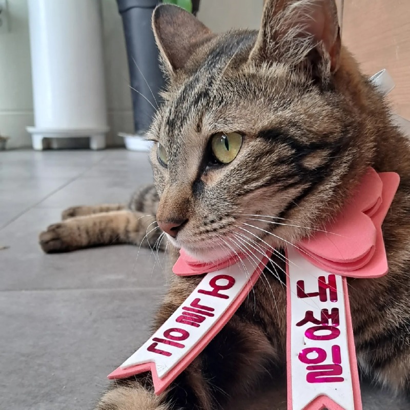 오늘은 내생일