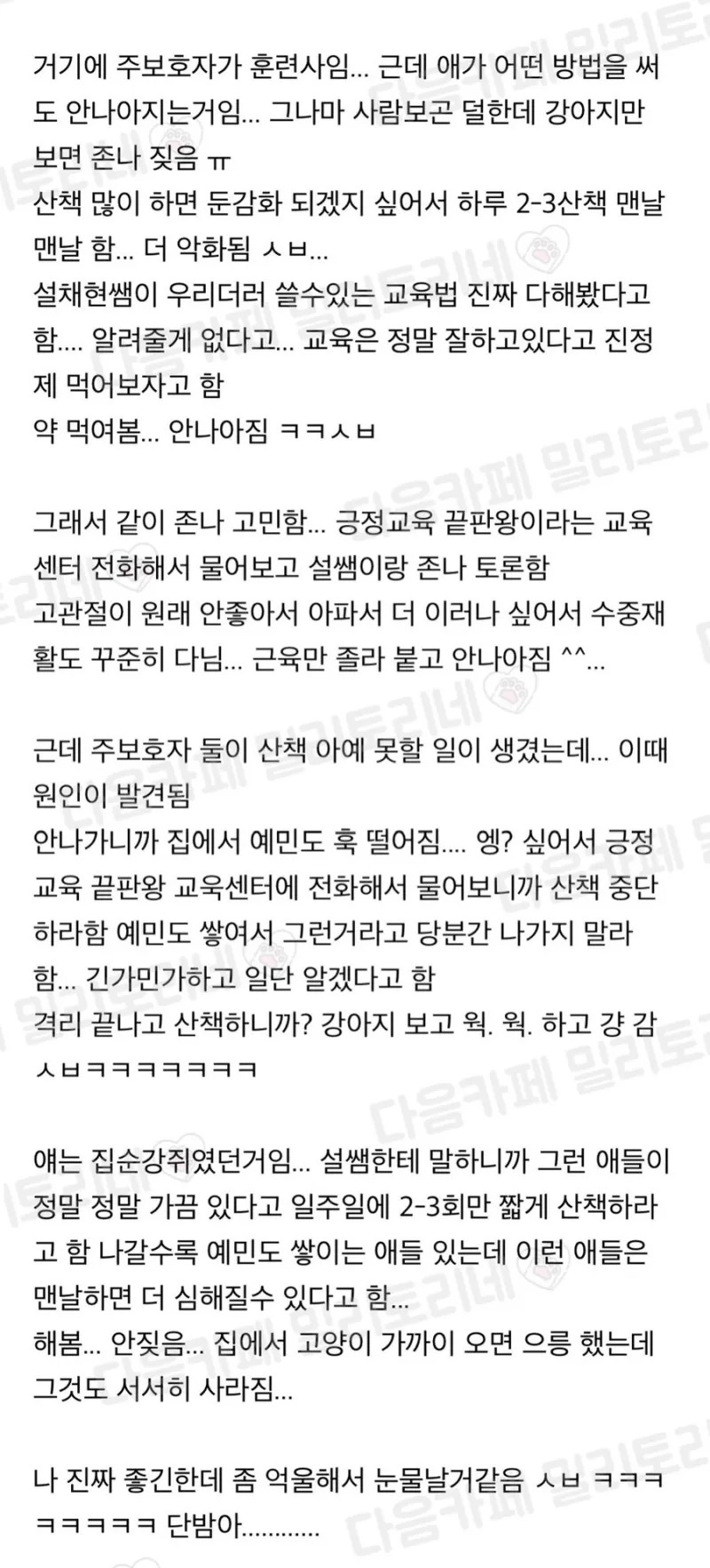 강아지도 봐가면서 산책해야하는 이유 
