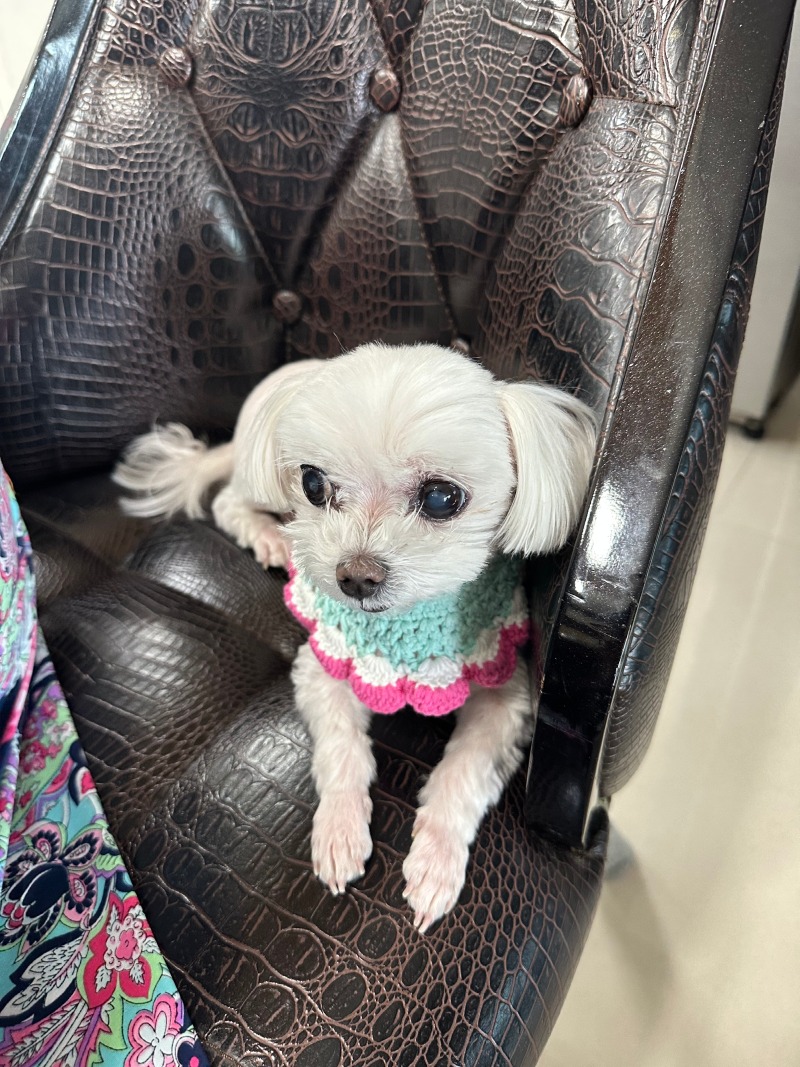 귀여운단비!