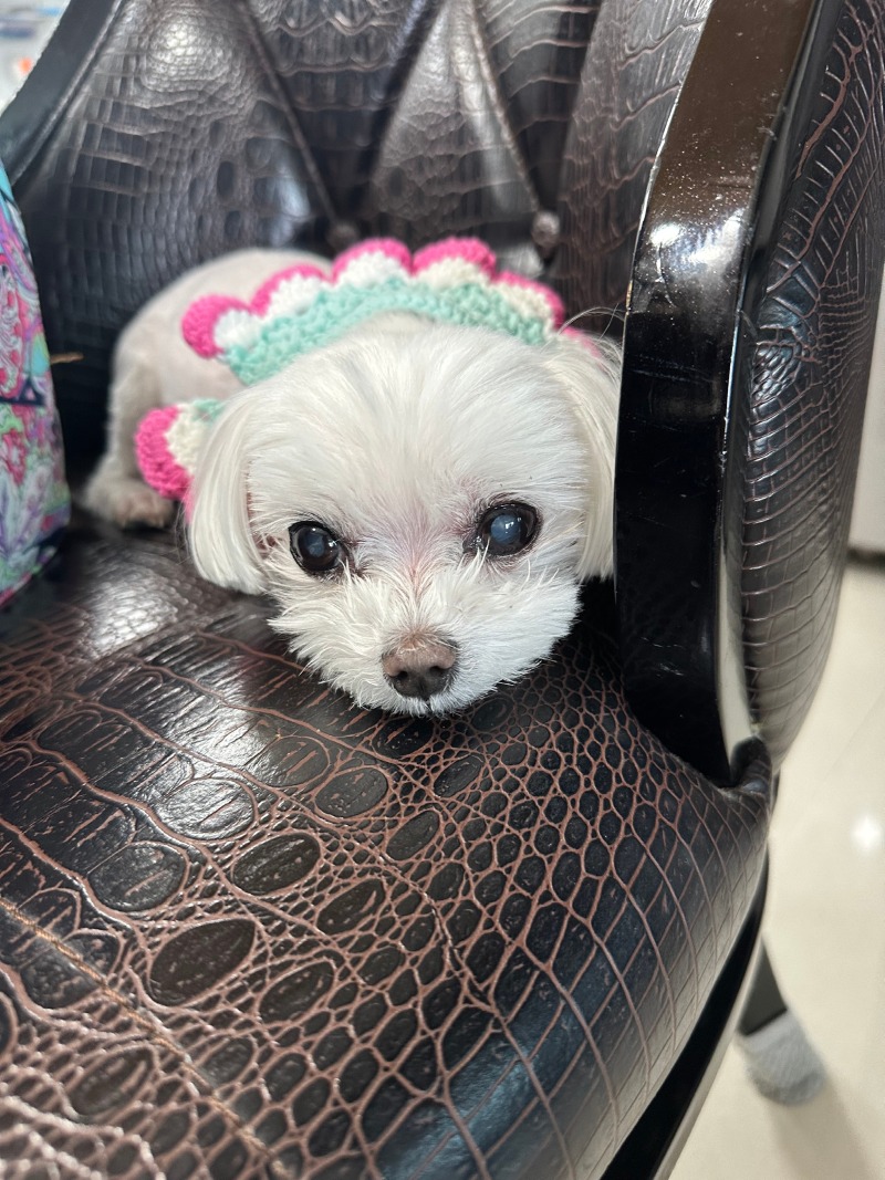 귀여운단비!