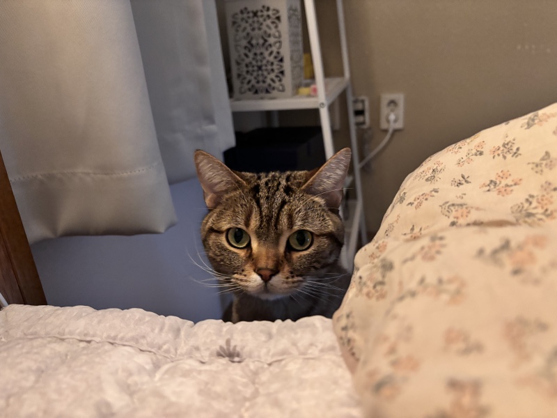 IMG_8710.jpeg