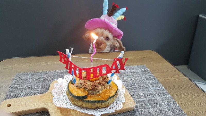 생일!