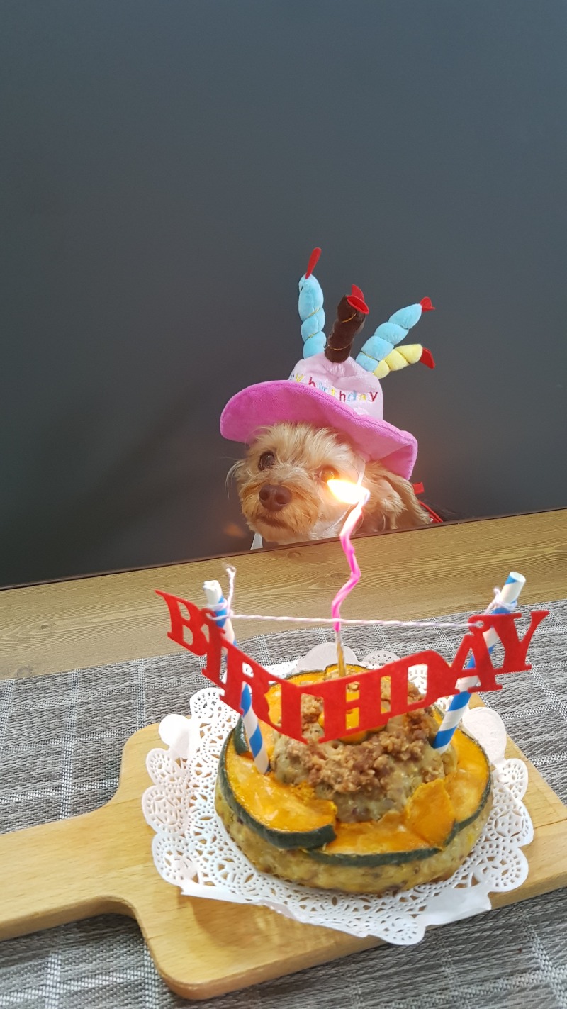 생일!