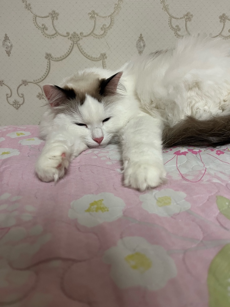 잠자는 울 애기