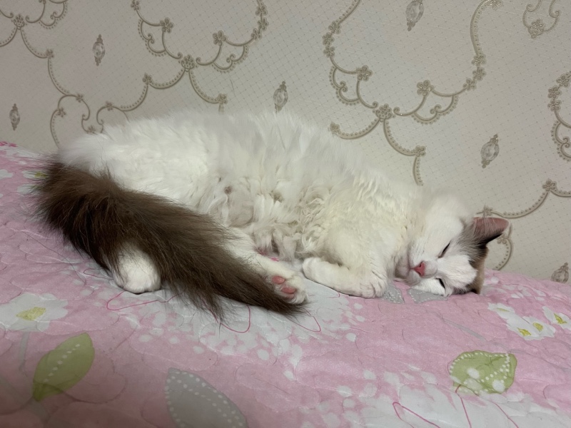 잠자는 울 애기