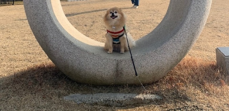  경기도 포천 아트벨리!!