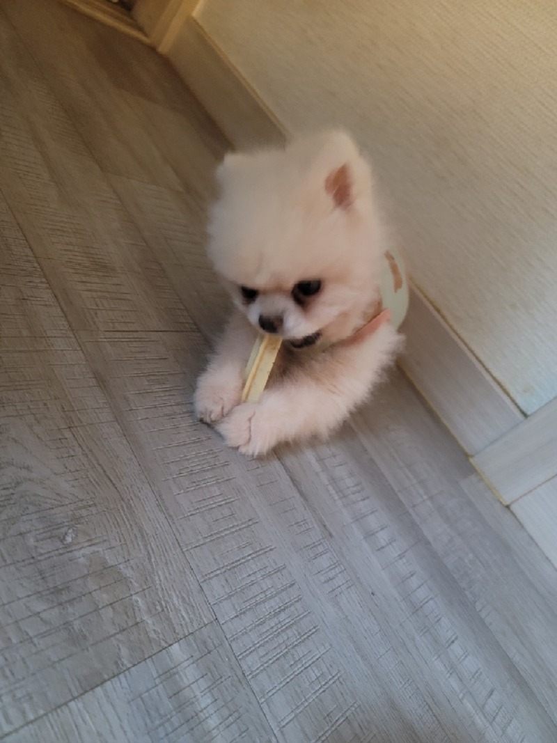 간식이 조아