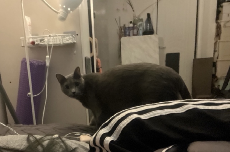 ㅋㅋ귀염둥이