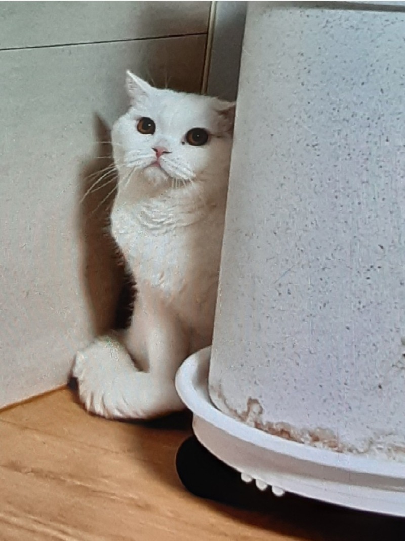 얘표정변화 ㅋㅋ