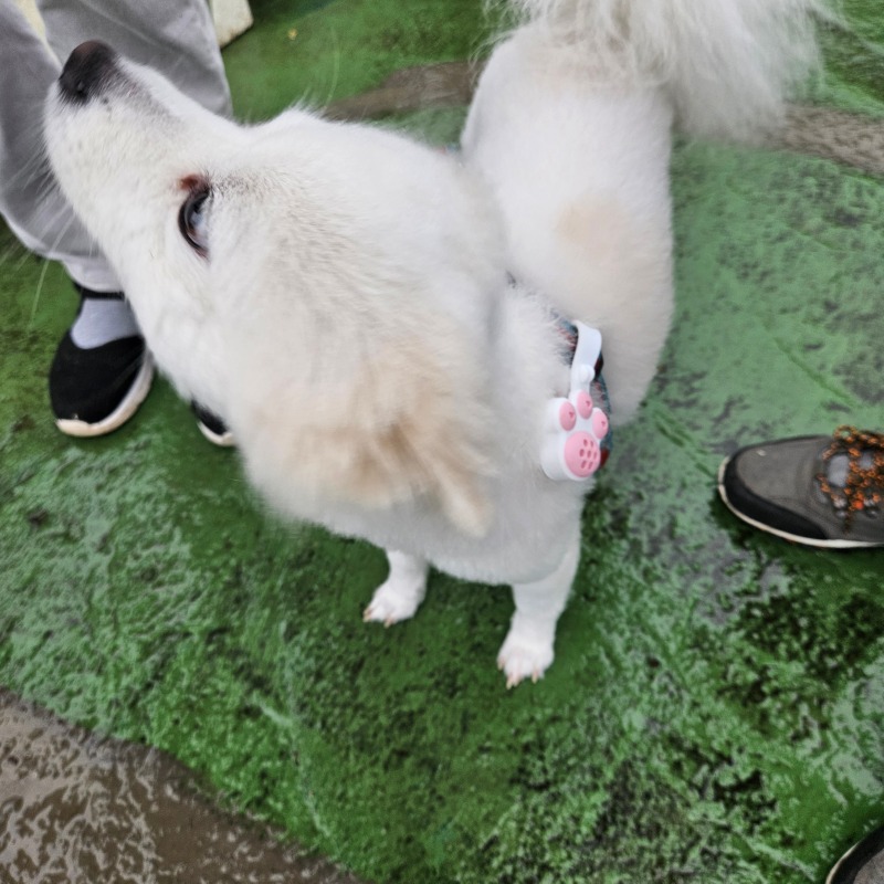 잠깐의 산책