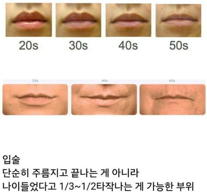 나이가 들면 입술이 없어짐 