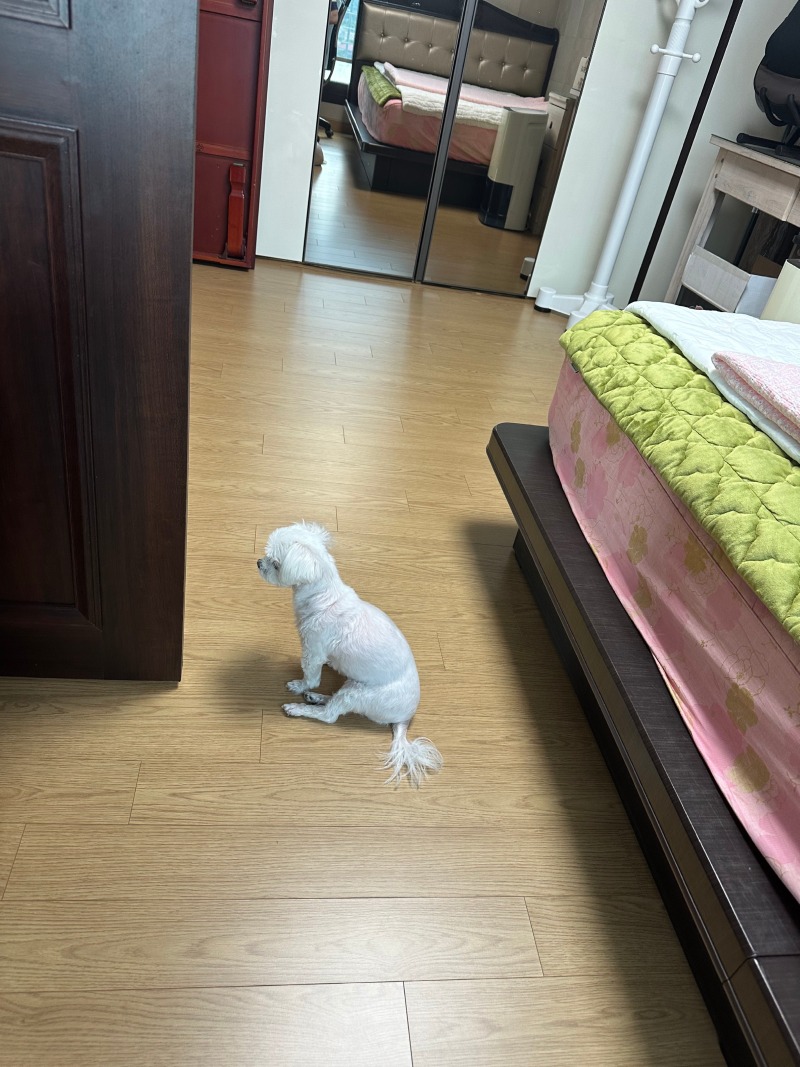 누군가를 기다리는 단비