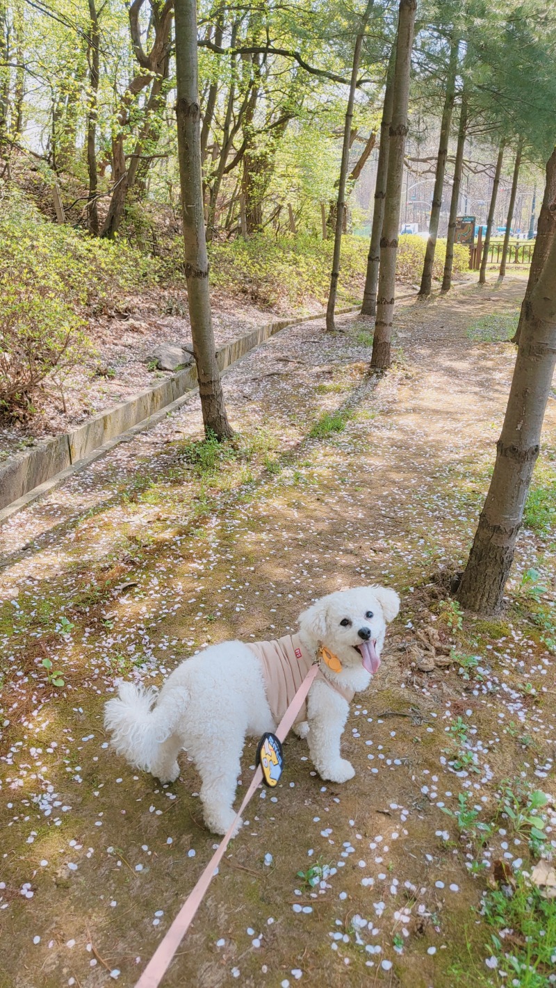 꽃길만걷자