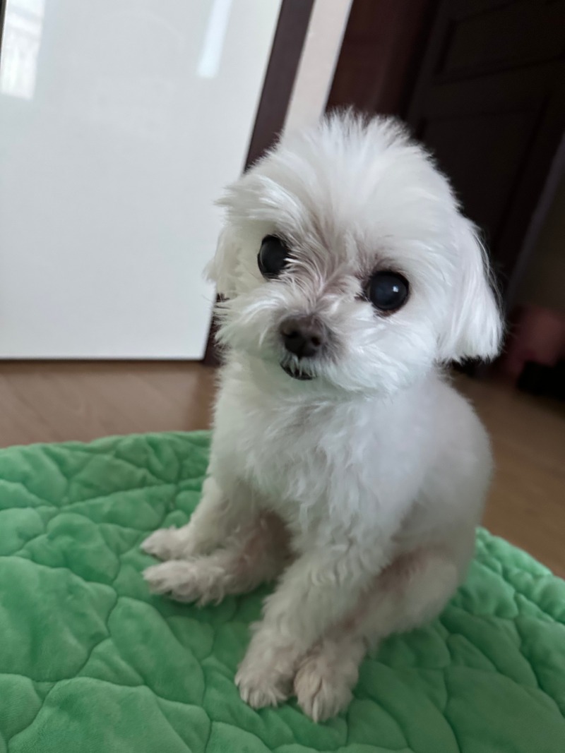 사람같은단비ㅎㅎㅎㅎ