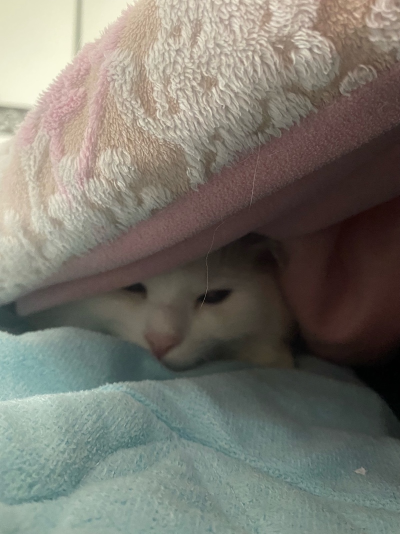 이불이 밖은 위험해!