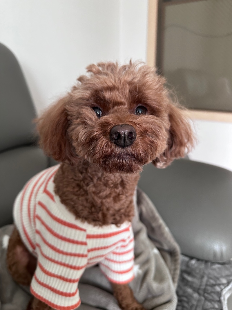 비가오네요 