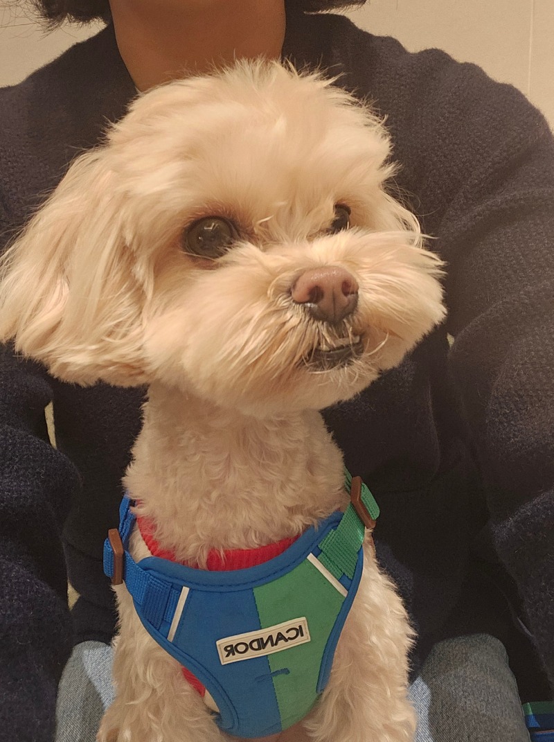 건강한 한끼 마니산산채