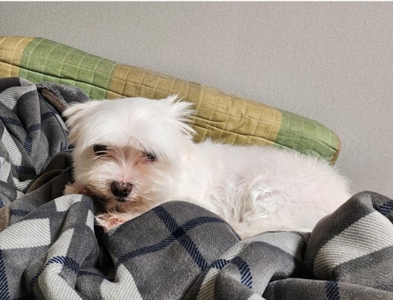 행복하자!
