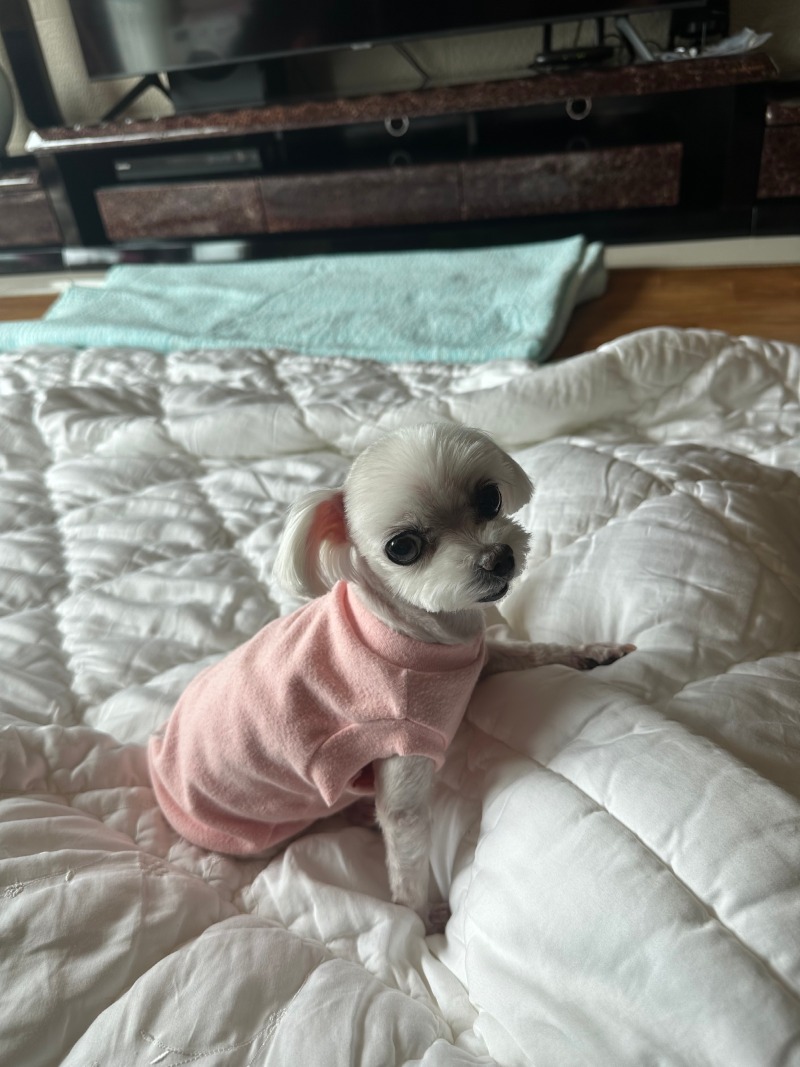 한쪽팔이 빠진 단비ㅎㅎ