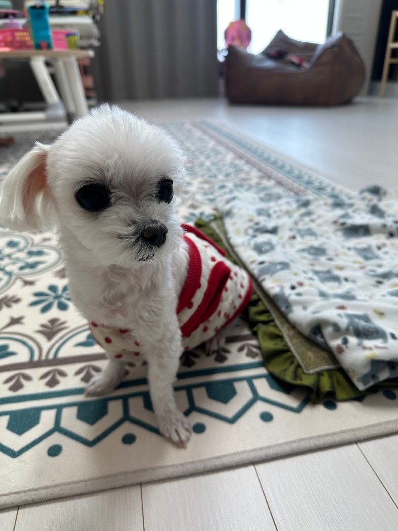 한쪽팔이 빠진 단비ㅎㅎ
