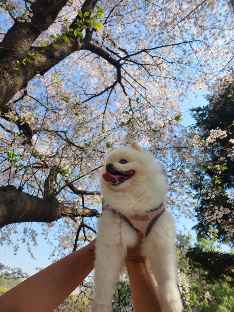 8살아기 