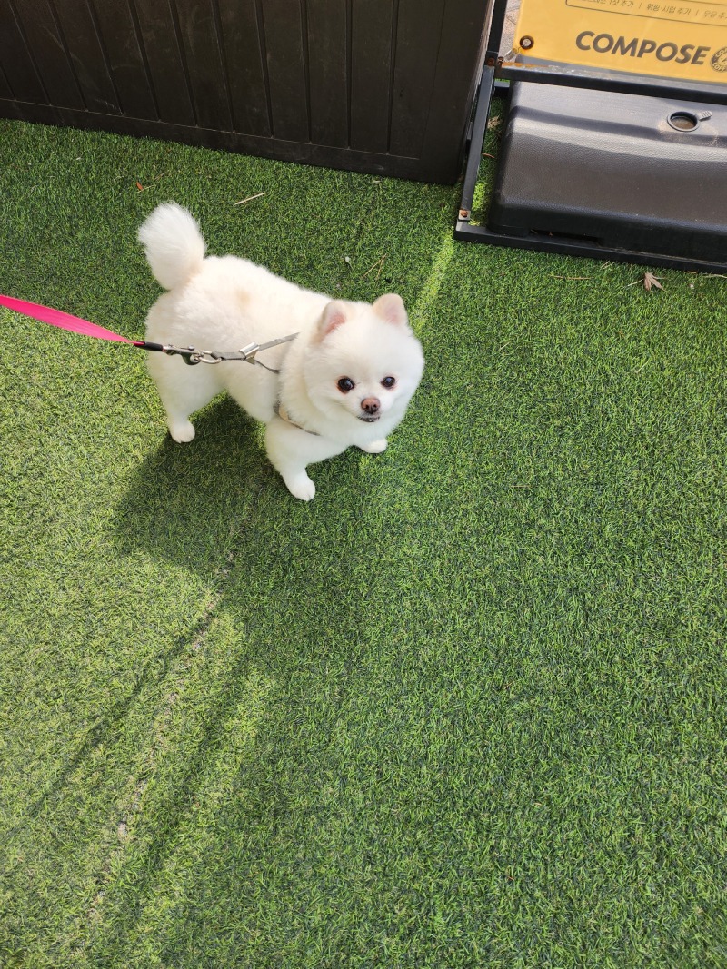 8살아기 