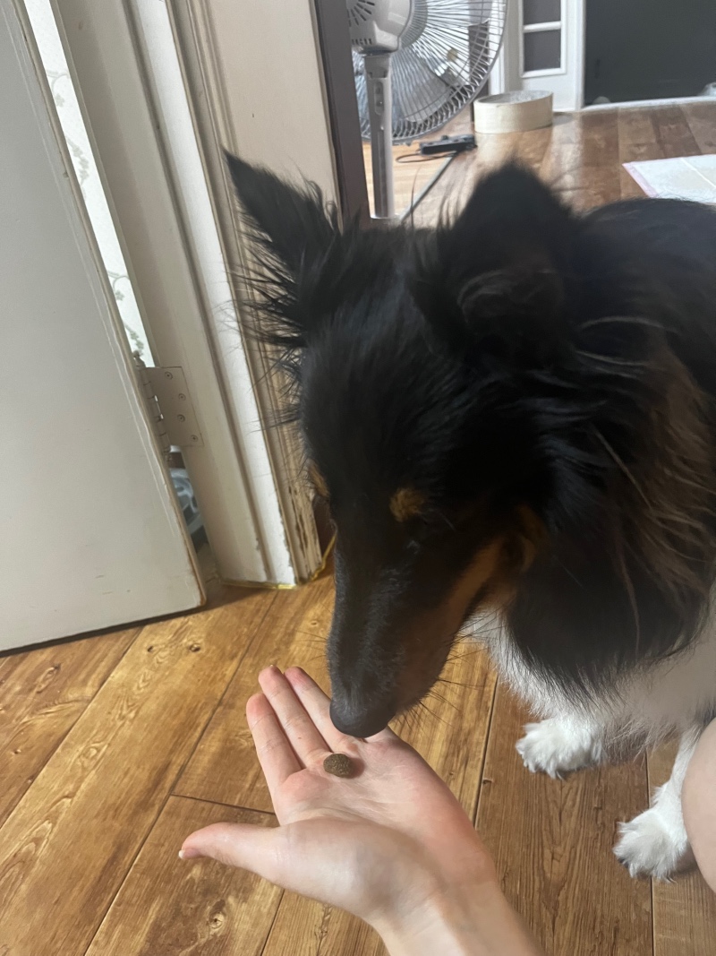 IMG_4351.jpeg