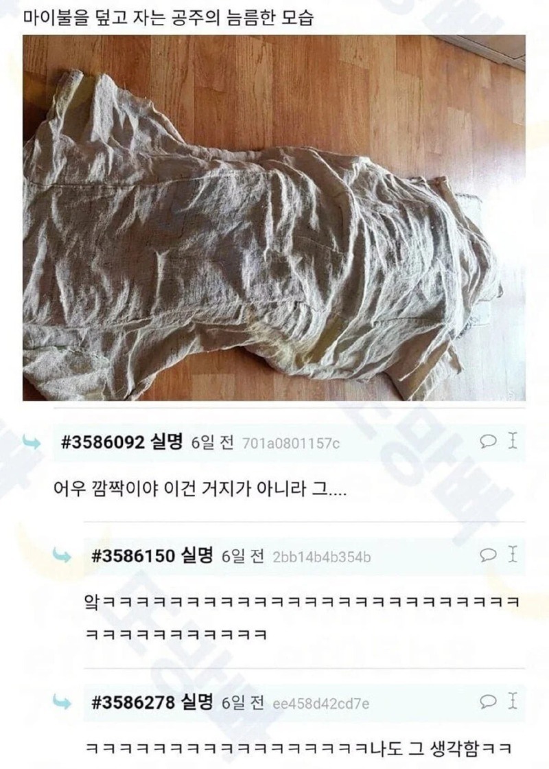 동생이 구해온 여름용 이불 