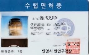 야생동물, 집에서 키워도 될까?? 