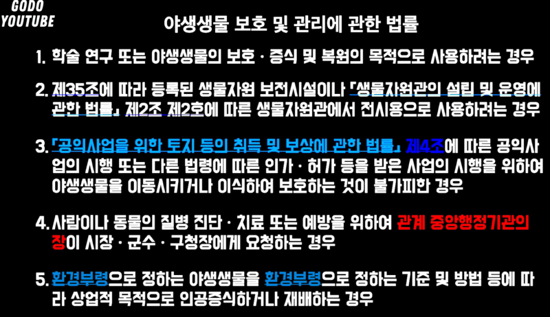 야생동물, 집에서 키워도 될까?? 