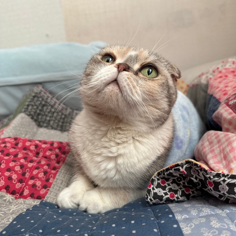 오늘의 모찌 모습