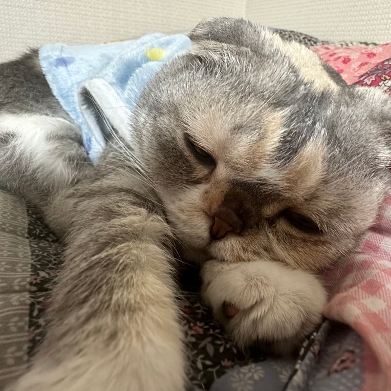KakaoTalk_20240402_165828078.jpg