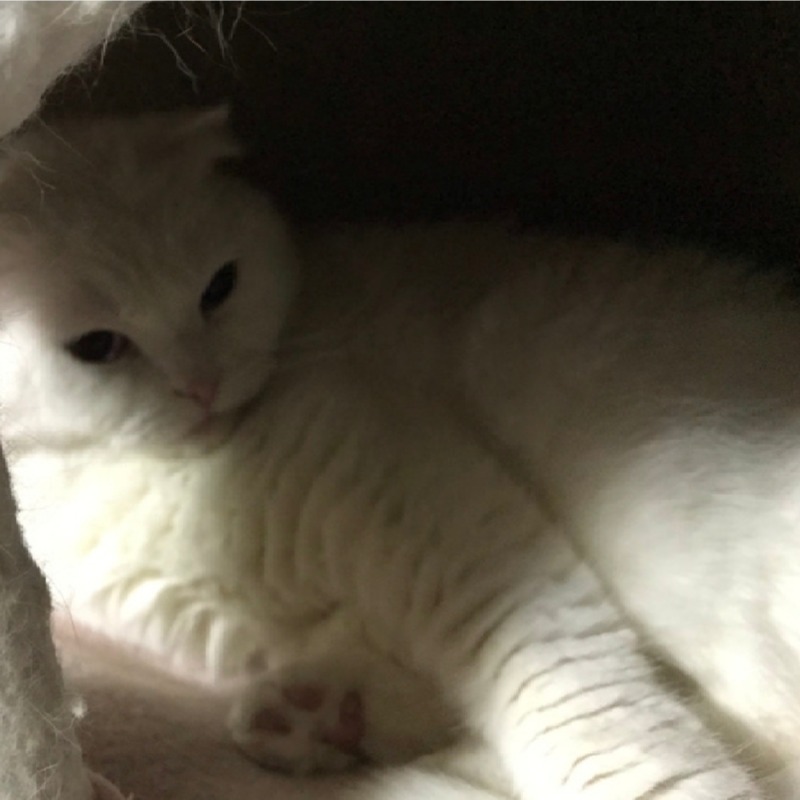 숨박꼭질 ㅋㅋ