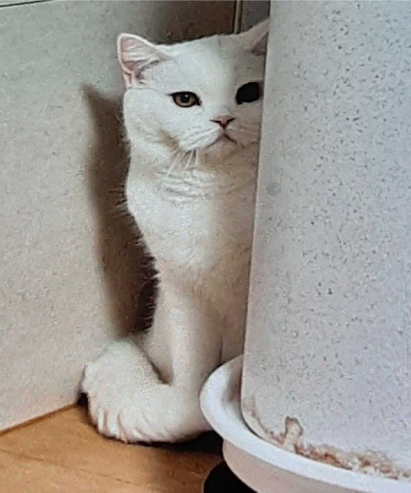 숨박꼭질 ㅋㅋ