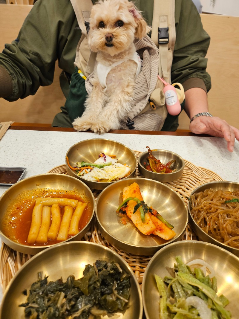 영종도 생선구이 맛집 용유어보