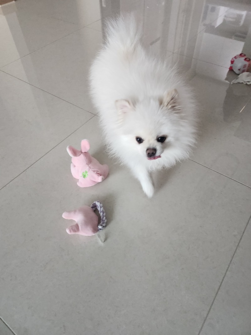 산책후 기분좋음