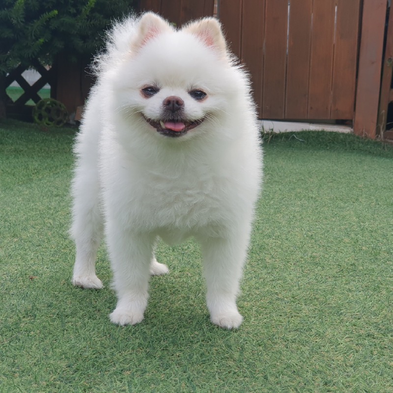 산책후 기분좋음
