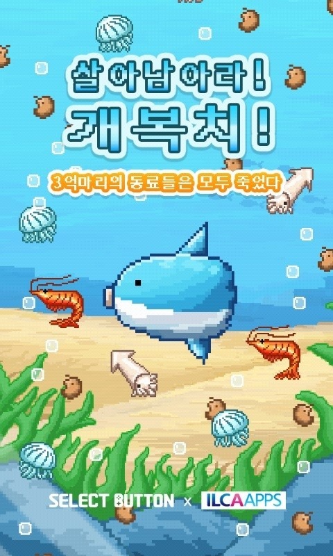 돌연사(?) 전문 개복치