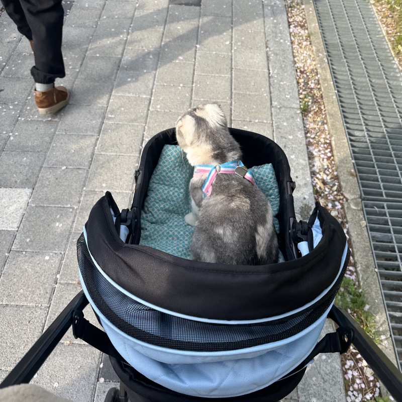 IMG_5399.jpeg