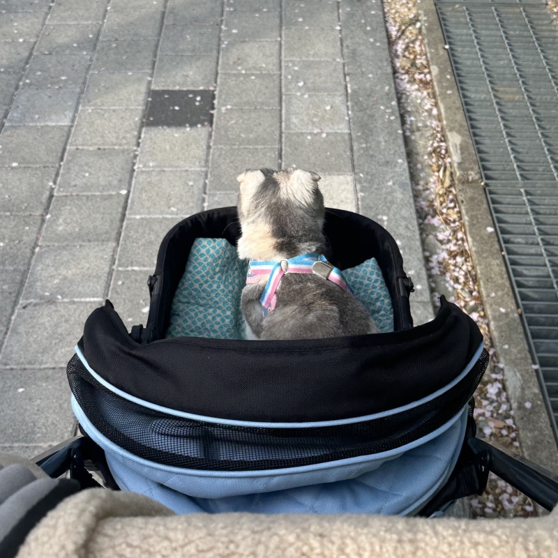 IMG_5393.jpeg