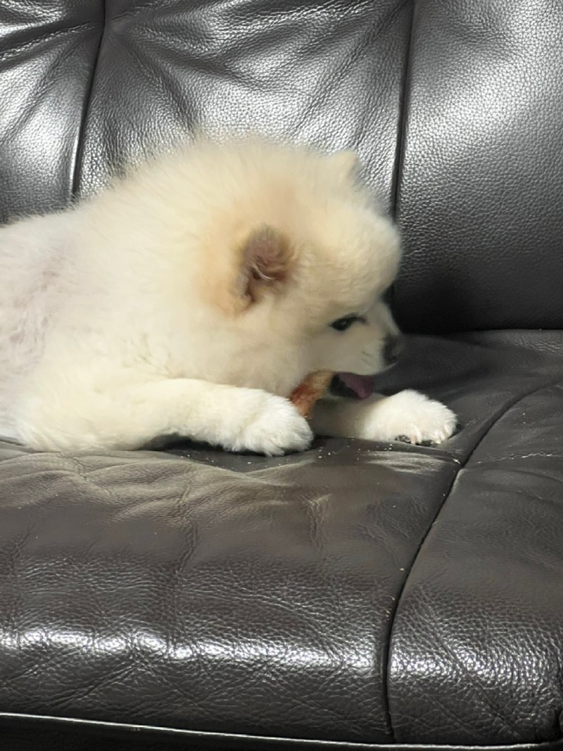 KakaoTalk_20240319_172949608_03.jpg