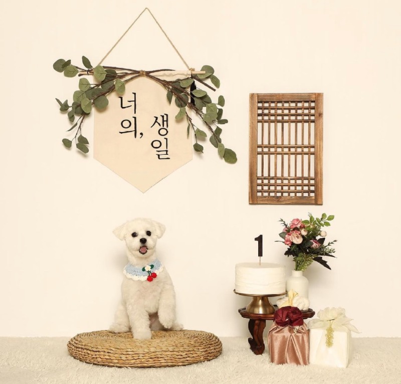 반스스튜디오 가보셨나요??