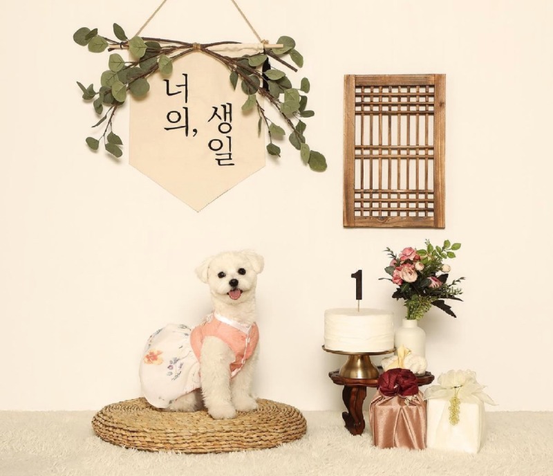 반스스튜디오 가보셨나요??
