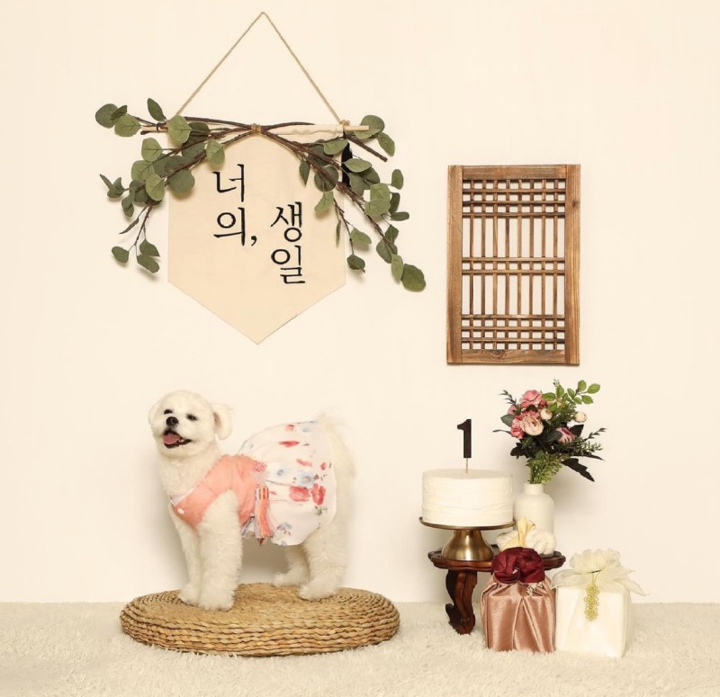 반스스튜디오 가보셨나요??