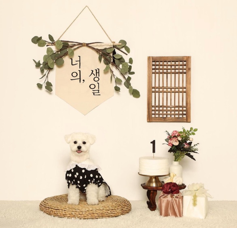 반스스튜디오 가보셨나요??