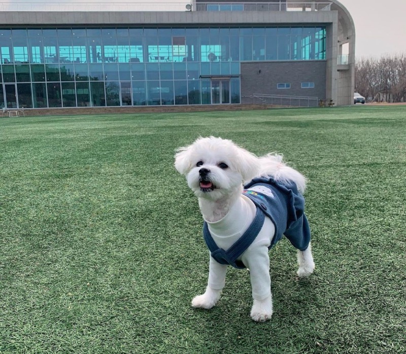 카페오던 안가본 사람 설마 있나요??