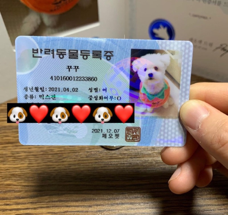 쇼핑도 하고 잃어버렸던 등록증도 찾구~~~