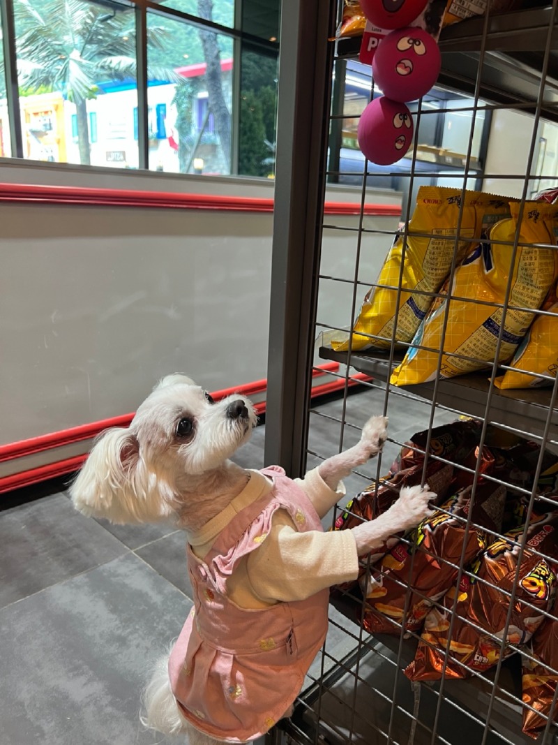 가창 발넷이야에서 운전 한 번 해보실테유??