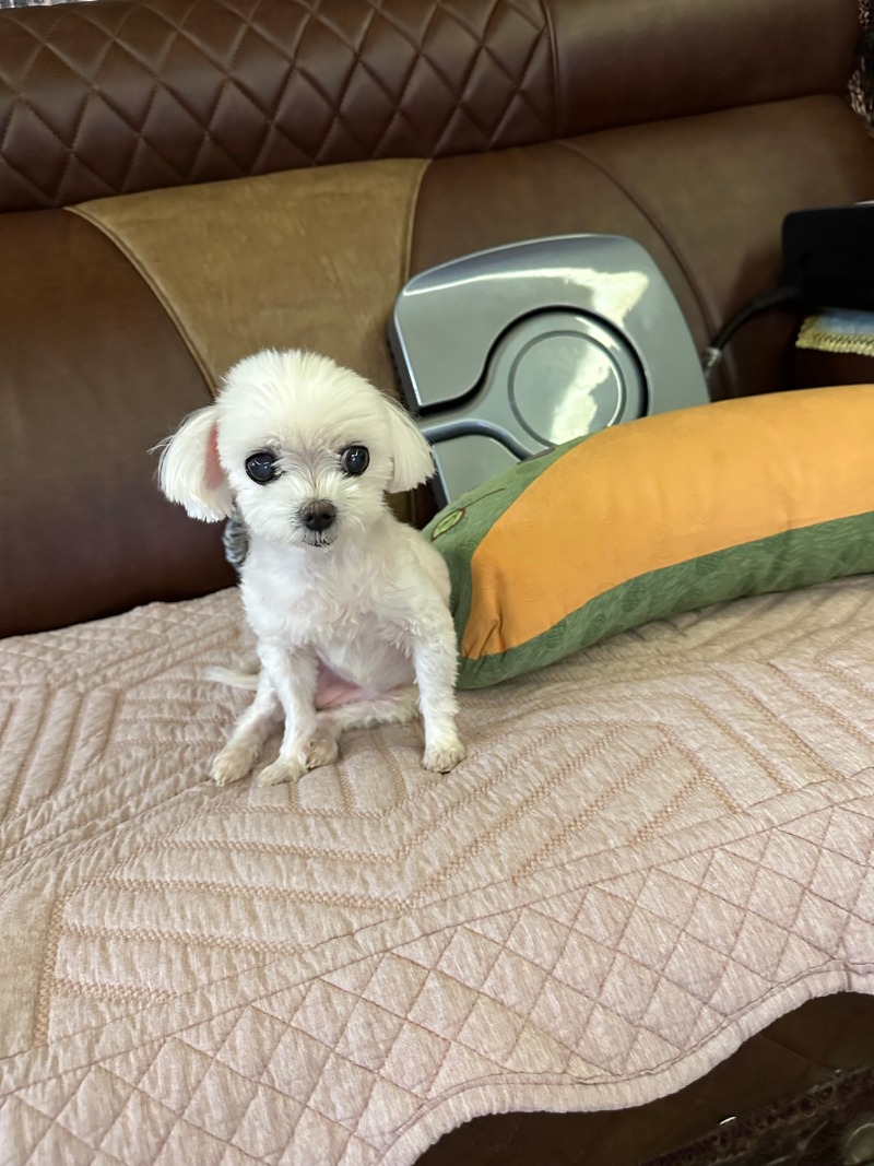 미용한 단비!